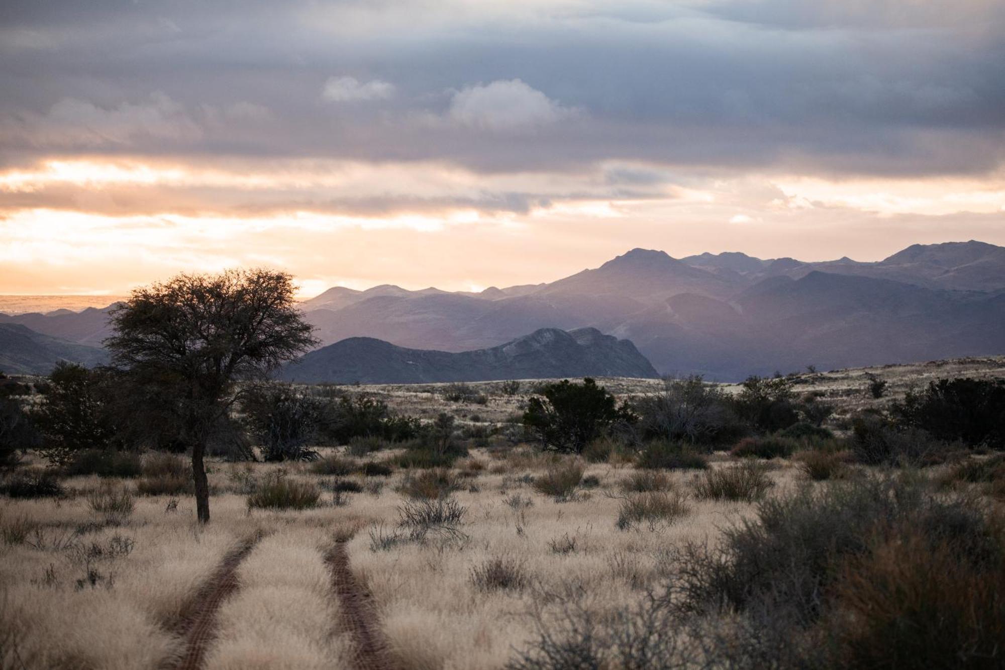 Sandfontein Lodge & Nature Reserve 外观 照片