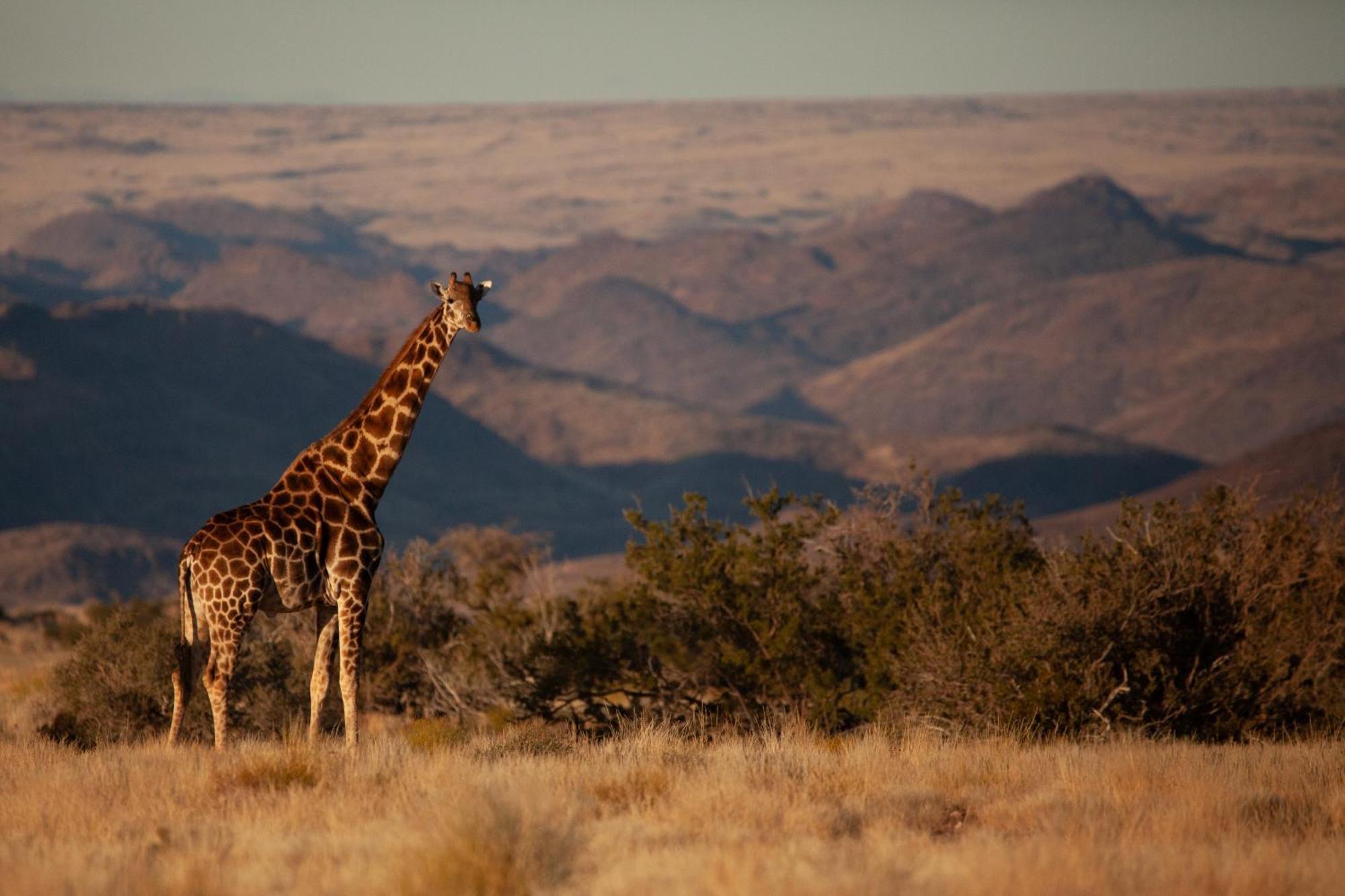 Sandfontein Lodge & Nature Reserve 外观 照片