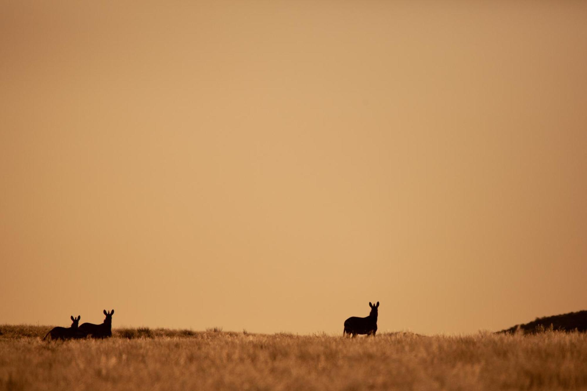 Sandfontein Lodge & Nature Reserve 外观 照片