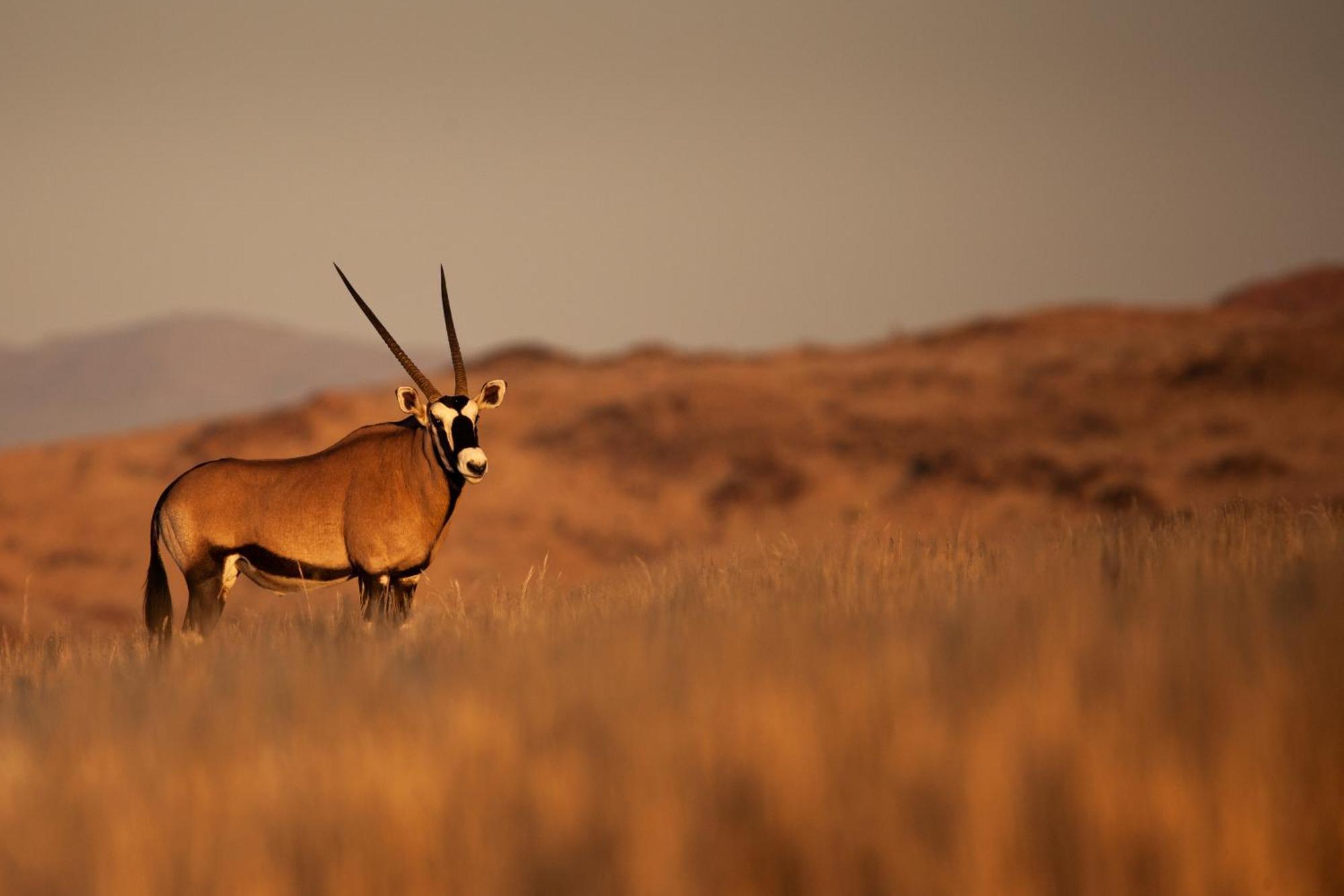Sandfontein Lodge & Nature Reserve 外观 照片